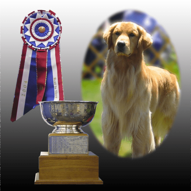 screen-shot-2012-02-16-at-11-42-22-pm