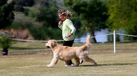 10325720_641981625876592_6113942036168701336_n