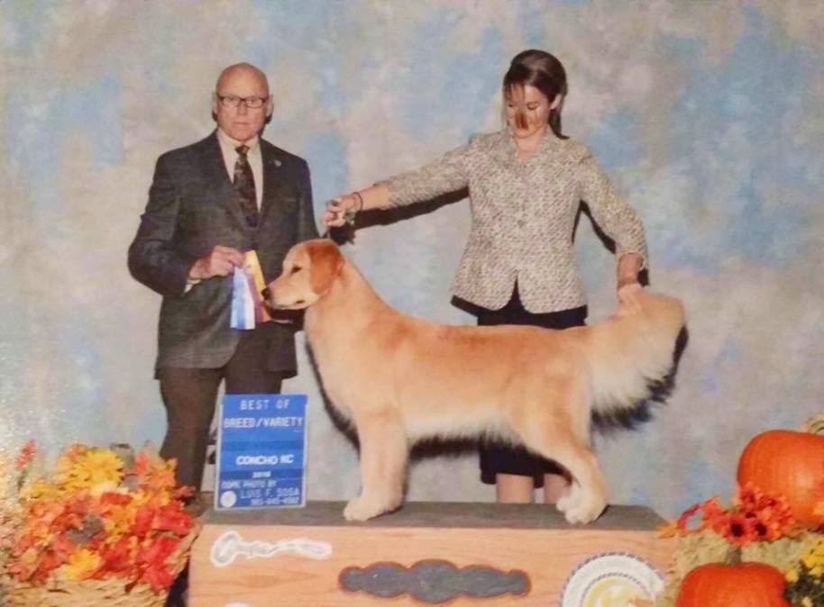 18217311_10154467483690770_1967958282_n