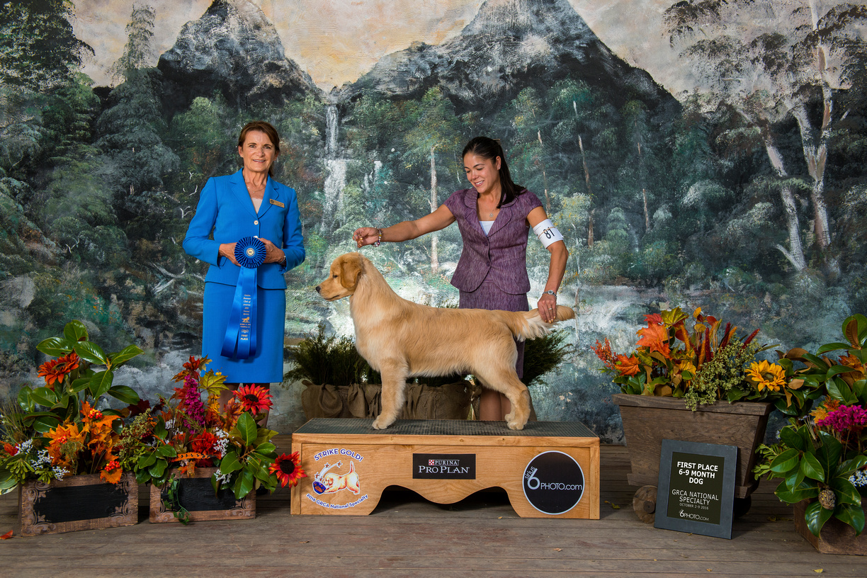 1st_6-9_dog-zf-6917-23485-1-001