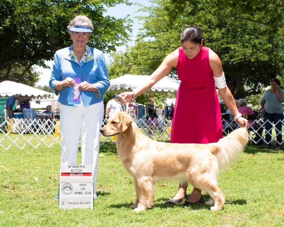 2F926CAC-2B99-4F4F-B2D6-A1F1AED3CA46