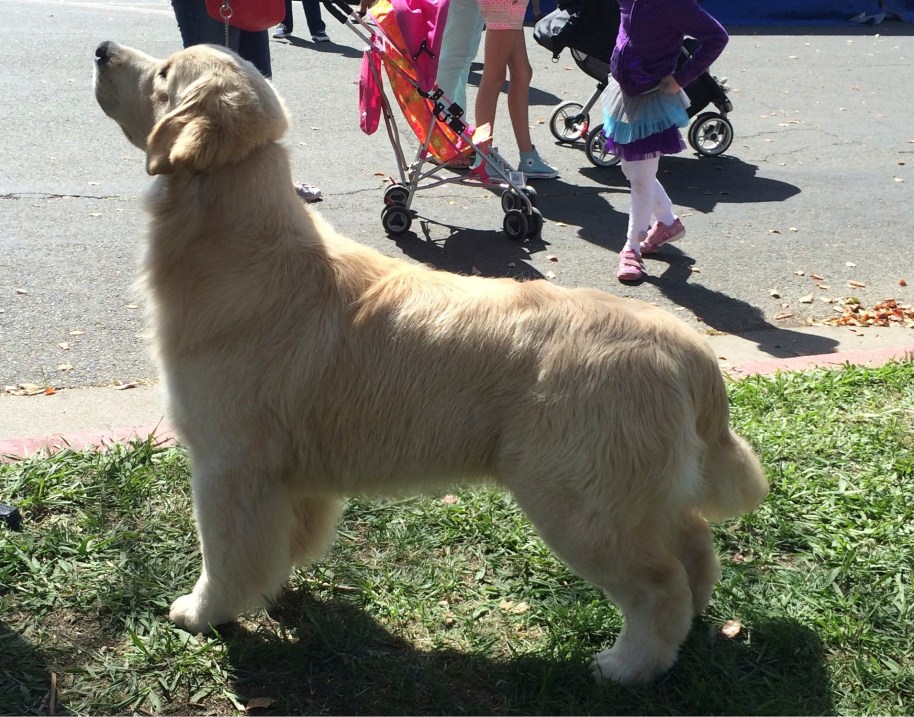 3A5F2DD6-0F16-417F-B829-8D39D23C24A2