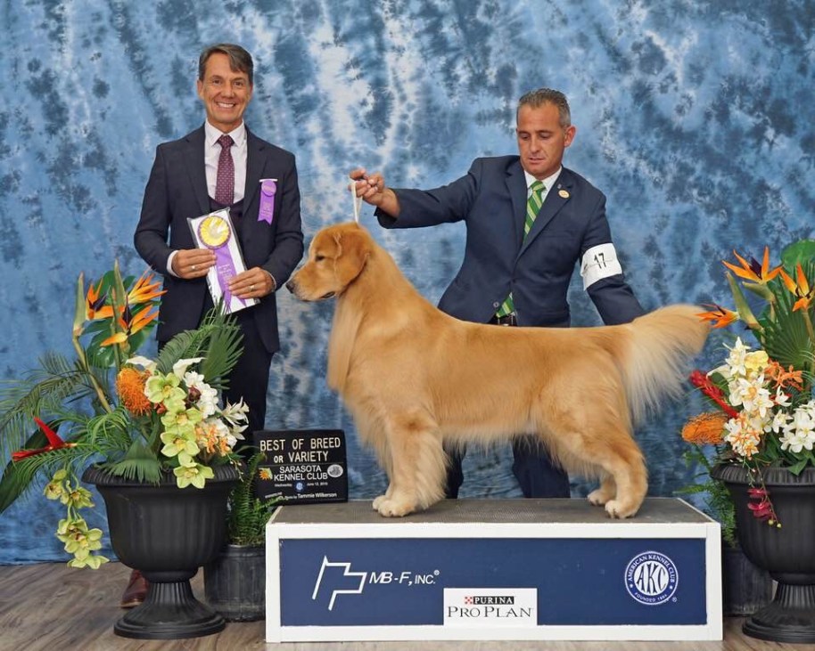 A9B6B1F3-5FB0-4E06-A66B-008554A27833