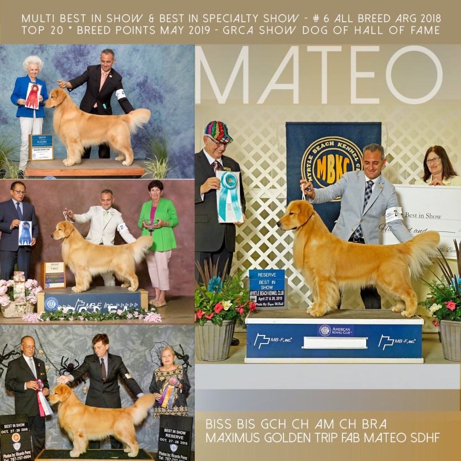 81332DA1-EB12-4D2A-93BD-6D059526616B