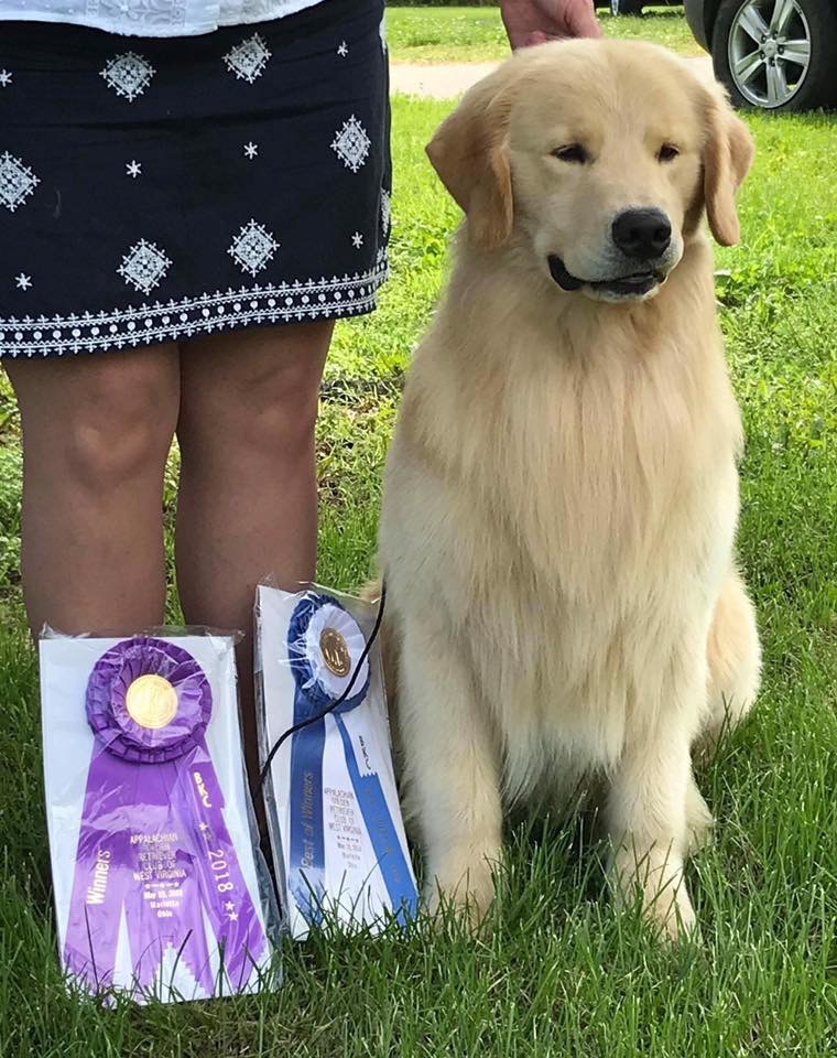 EC9B0E79-6334-47D7-AF25-B508CA163F88